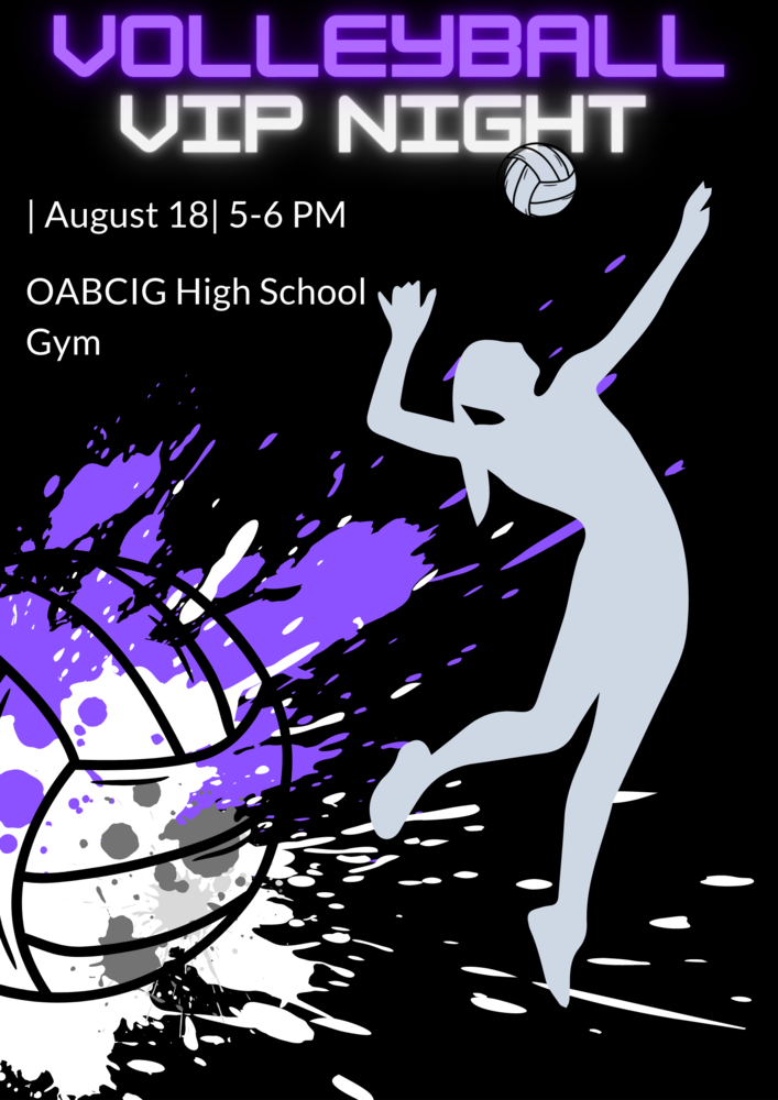 Volleyball Flyer